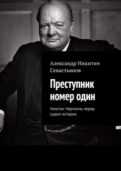Александр Севастьянов - Преступник номер один. Уинстон Черчилль перед судом истории