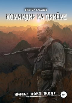 Виктор Краснов - Командир на приёме