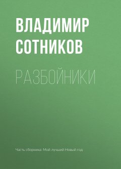 Владимир Сотников - Разбойники