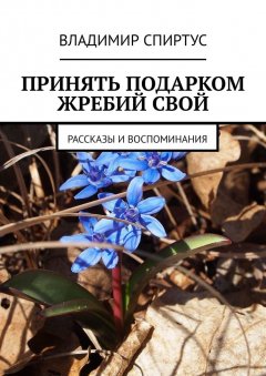 Владимир Спиртус - Принять подарком жребий свой. Рассказы и воспоминания