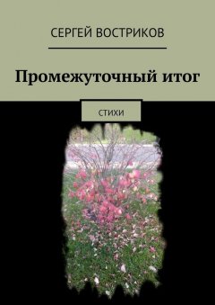 Сергей Востриков - Промежуточный итог. Стихи