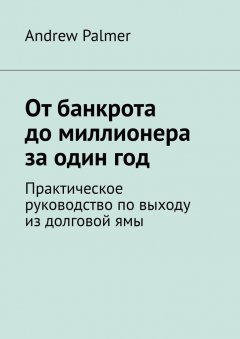 Andrew Palmer - От банкрота до миллионера за один год. Практическое руководство по выходу из долговой ямы