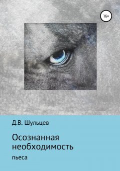 Дмитрий Шульцев - Осознанная необходимость