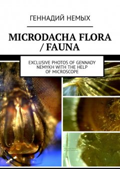 Геннадий Немых - Microdacha flora / fauna. Exclusive photos of Gennady Nemykh with the help of microscope
