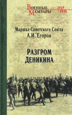 Александр Егоров - Разгром Деникина