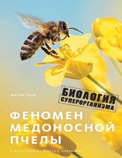 Юрген Тауц - Феномен медоносной пчелы. Биология суперорганизма