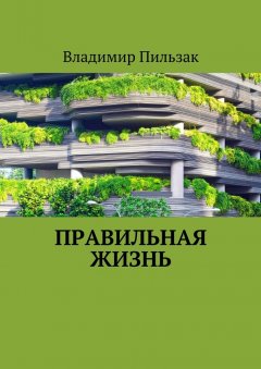 Владимир Пильзак - Правильная жизнь