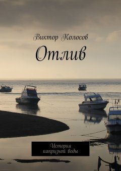 Виктор Колосов - Отлив. История капризной воды