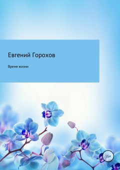 Евгений Горохов - Время жизни