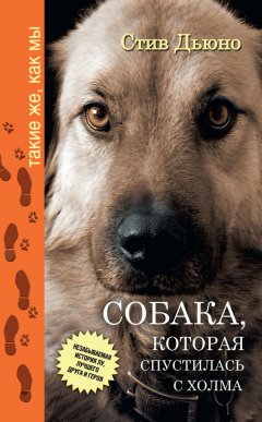 Стив Дьюно - Собака, которая спустилась с холма. Незабываемая история Лу, лучшего друга и героя