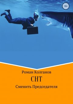 Роман Колганов - СНТ: Как сменить председателя