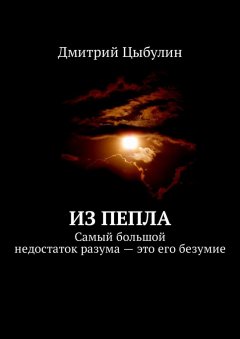 Дмитрий Цыбулин - Из пепла. Самый большой недостаток разума – это его безумие