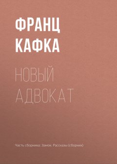 Франц Кафка - Новый адвокат