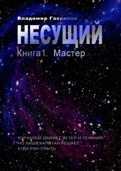 Владимир Гаврилов - Несущий. Книга 1. Мастер