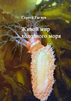 Сергей Гагаев - Живой мир холодного моря