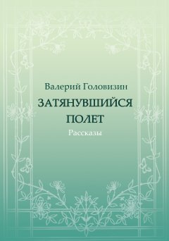 Валерий Головизин - Затянувшийся полёт (сборник)