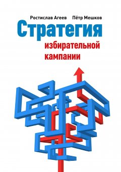 Ростислав Агеев - Стратегия избирательной кампании