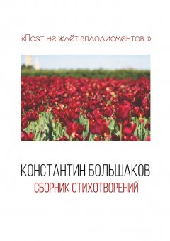 Константин Большаков - Поэт не ждёт аплодисментов… Сборник стихотворений