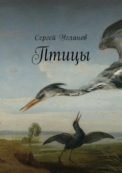 Сергей Угланов - Птицы. Фантастический рассказ