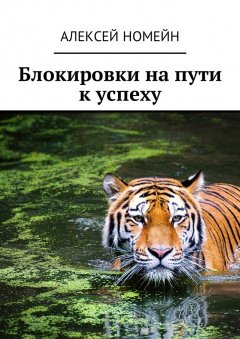 Алексей Номейн - Блокировки на пути к успеху