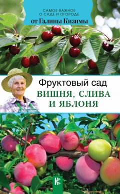 Галина Кизима - Фруктовый сад. Вишня, слива и яблоня