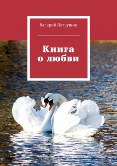 Валерий Петрушин - Книга о любви