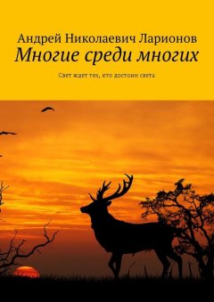 Андрей Ларионов - Многие среди многих. Свет ждет тех, кто достоин света