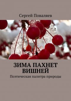 Сергей Поваляев - Зима пахнет вишней. Поэтическая палитра природы