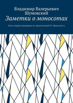 Владимир Шумовский - Заметки о моносотах. Часть первая (выдержки из презентаций ГК «Моносота»)