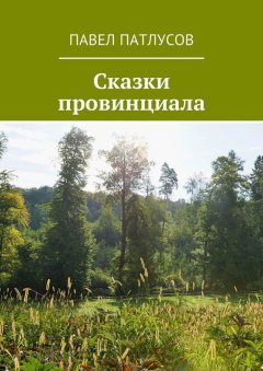 Павел Патлусов - Сказки провинциала