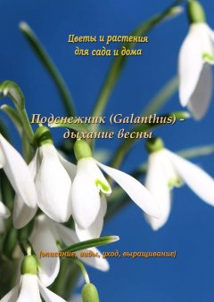 Федор Кольцов - Подснежник (Galanthus) – дыхание весны