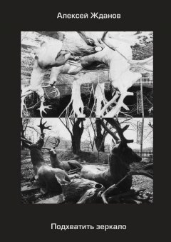 Алексей Жданов - Подхватить зеркало. Роман с самим собой