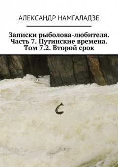 Александр Намгаладзе - Записки рыболова-любителя. Часть 7. Путинские времена. Том 7.2. Второй срок