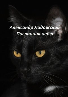 Александр Ладожский - Посланник небес