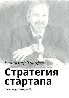 Владимир Токарев - Стратегия стартапа. Практикум: Выпуск №3