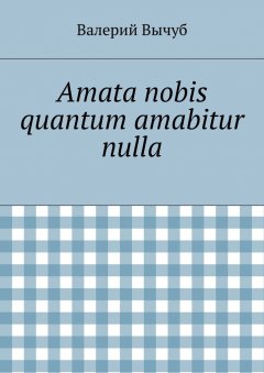 Валерий Вычуб - Amata nobis quantum amabitur nulla