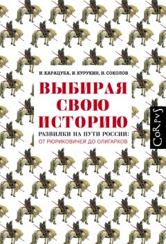 Ирина Карацуба - Выбирая свою историю. Развилки на пути России: от Рюриковичей до олигархов