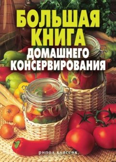 Екатерина Андреева - Большая книга домашнего консервирования