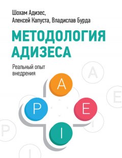 Сергей Быстрин - Методология Адизеса. Реальный опыт внедрения