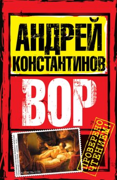 Андрей Константинов - Вор