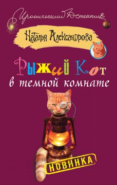 Наталья Александрова - Рыжий кот в темной комнате