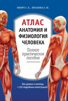 Габриэль Билич - Атлас: анатомия и физиология человека. Полное практическое пособие