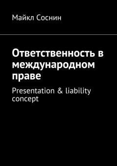 Майкл Соснин - Ответственность в международном праве. Presentation & liability concept
