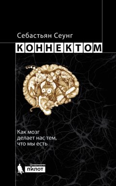 Себастьян Сеунг - Коннектом. Как мозг делает нас тем, что мы есть