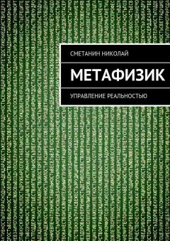 Николай Сметанин - Метафизик. Управление реальностью