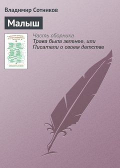 Владимир Сотников - Малыш