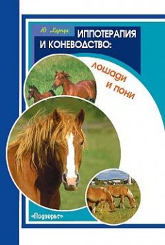 Юрий Харчук - Иппотерапия и коневодство. Лошади и пони
