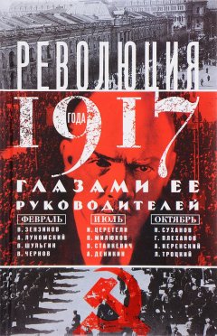 Давид Анин - Революция 1917 года глазами ее руководителей