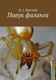 В. Жиглов - Павук фаланга