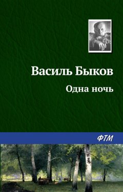 Василий Быков - Одна ночь